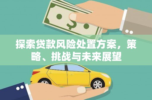 六安探索贷款风险处置方案，策略、挑战与未来展望