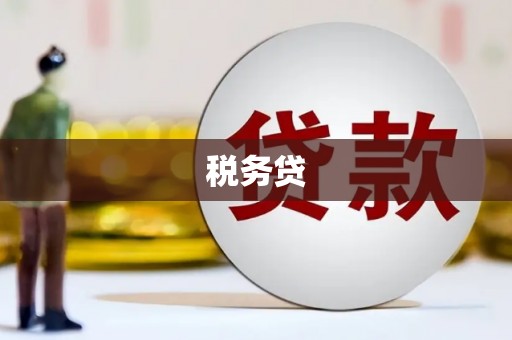 六安税务贷