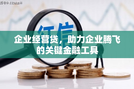 六安企业经营贷，助力企业腾飞的关键金融工具