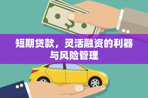 六安短期贷款，灵活融资的利器与风险管理