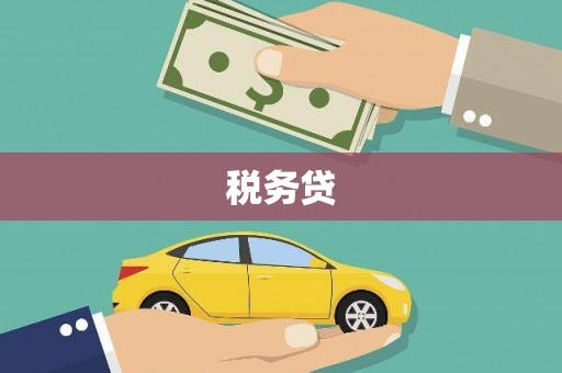六安税务贷