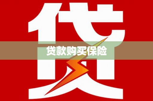 六安贷款购买保险