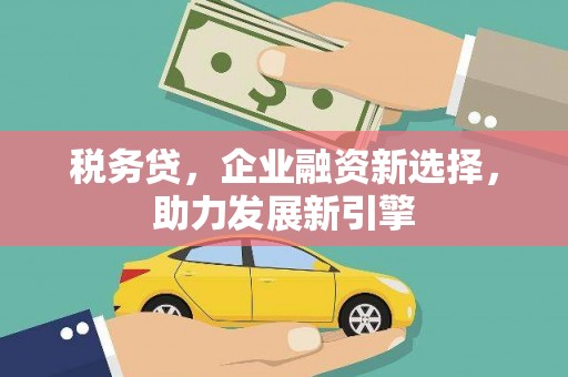 六安税务贷，企业融资新选择，助力发展新引擎