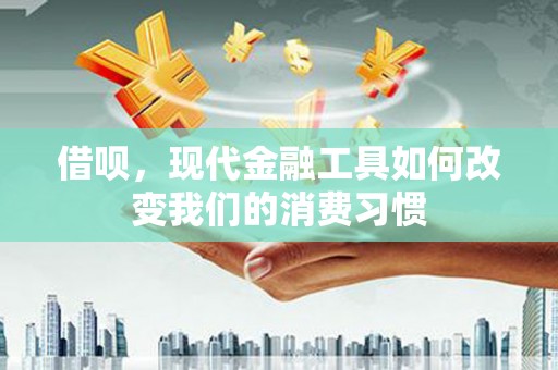六安借呗，现代金融工具如何改变我们的消费习惯