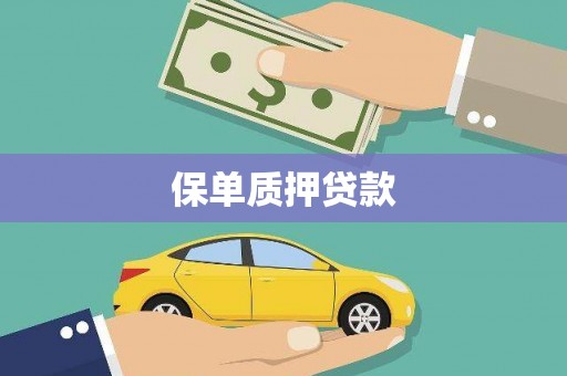 六安保单质押贷款