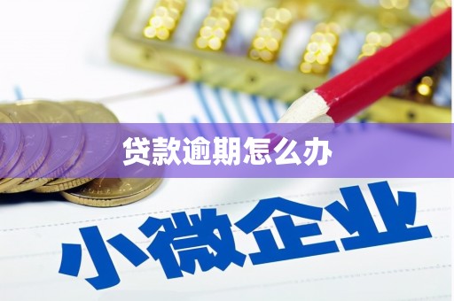 六安贷款逾期怎么办