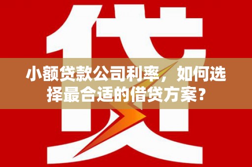 六安小额贷款公司利率，如何选择最合适的借贷方案？