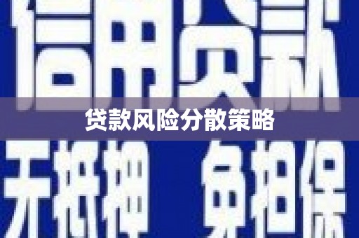 六安贷款风险分散策略