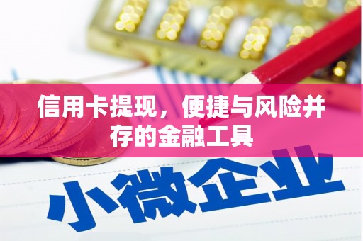 六安信用卡提现，便捷与风险并存的金融工具