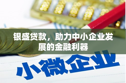 六安银盛贷款，助力中小企业发展的金融利器