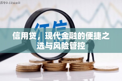 六安信用贷，现代金融的便捷之选与风险管控