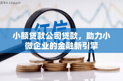 六安小额贷款公司贷款，助力小微企业的金融新引擎