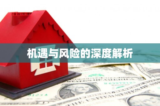 六安机遇与风险的深度解析