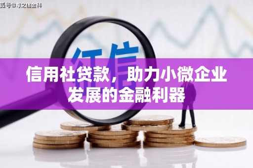 六安信用社贷款，助力小微企业发展的金融利器