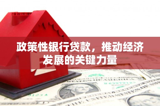 六安政策性银行贷款，推动经济发展的关键力量