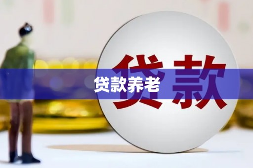 六安贷款养老