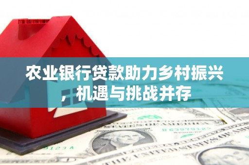 六安农业银行贷款助力乡村振兴，机遇与挑战并存