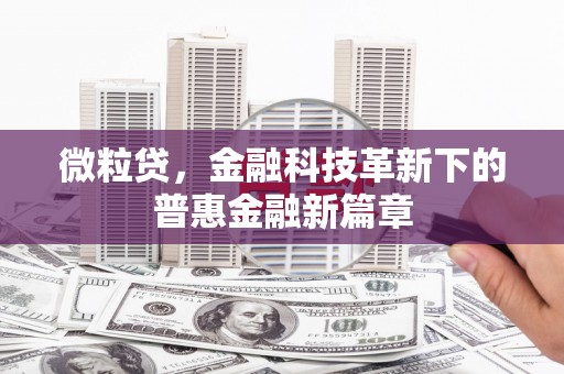 六安微粒贷，金融科技革新下的普惠金融新篇章