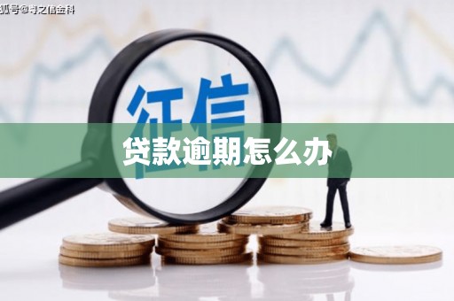 六安贷款逾期怎么办