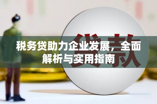 六安税务贷助力企业发展，全面解析与实用指南