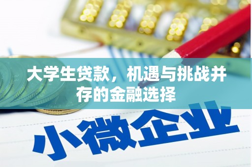 六安大学生贷款，机遇与挑战并存的金融选择