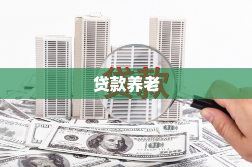 六安贷款养老