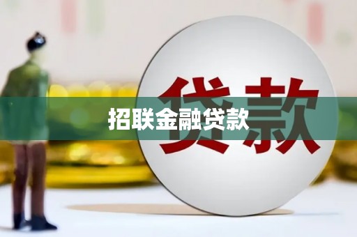 六安招联金融贷款