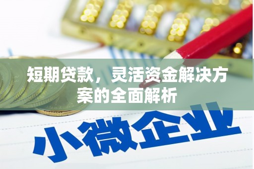 六安短期贷款，灵活资金解决方案的全面解析