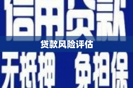 六安贷款风险评估