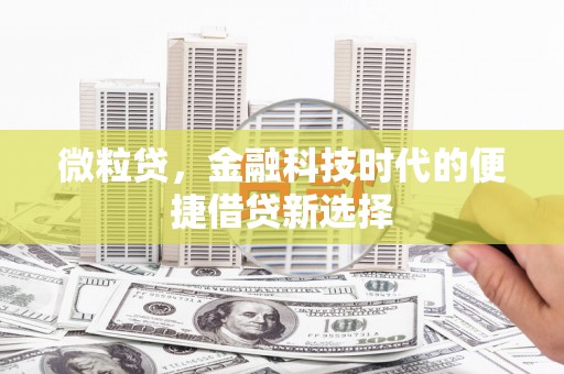 六安微粒贷，金融科技时代的便捷借贷新选择