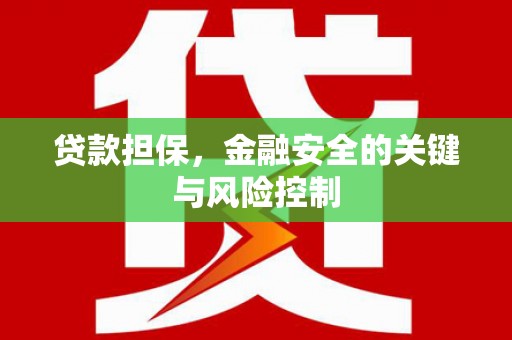 六安贷款担保，金融安全的关键与风险控制