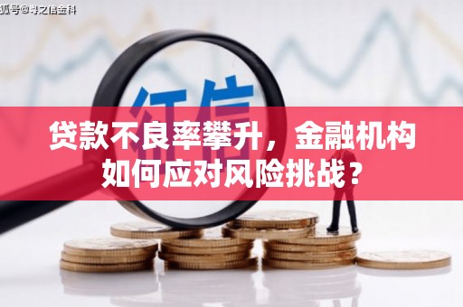 六安贷款不良率攀升，金融机构如何应对风险挑战？