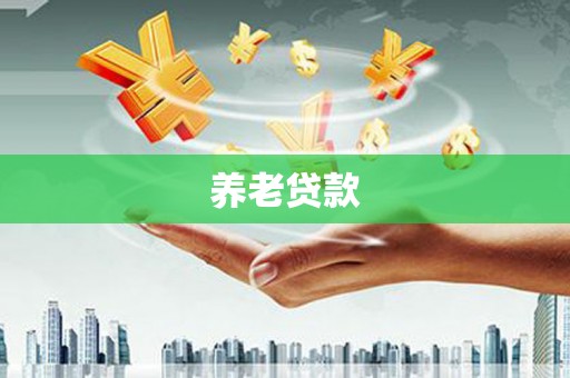 六安养老贷款
