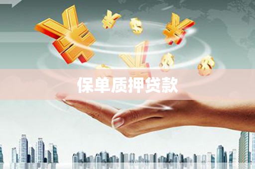六安保单质押贷款