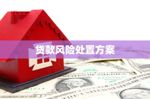 六安贷款风险处置方案