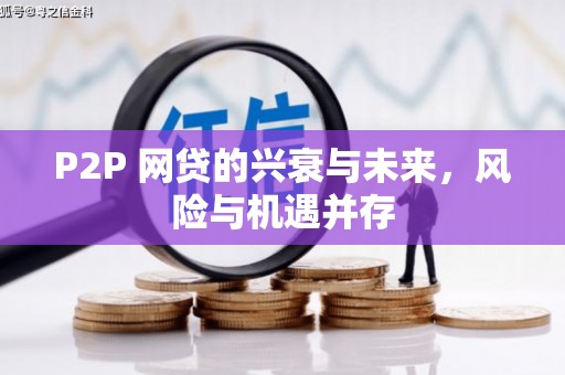 六安P2P 网贷的兴衰与未来，风险与机遇并存