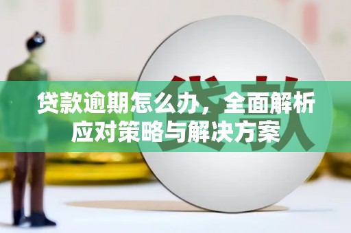 六安贷款逾期怎么办，全面解析应对策略与解决方案