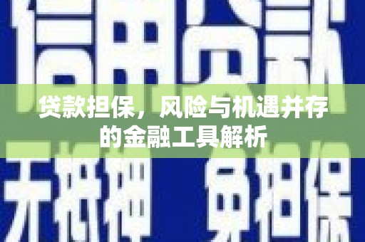 六安贷款担保，风险与机遇并存的金融工具解析