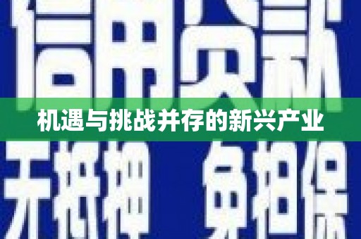 六安机遇与挑战并存的新兴产业