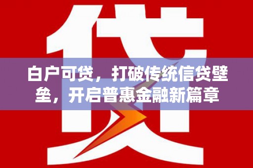 六安白户可贷，打破传统信贷壁垒，开启普惠金融新篇章