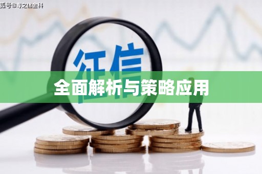 六安全面解析与策略应用
