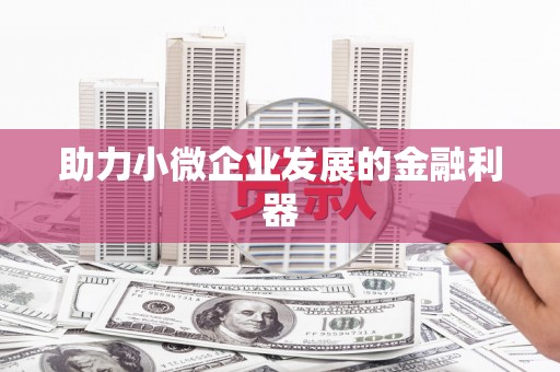 六安助力小微企业发展的金融利器
