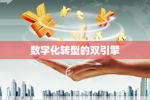 六安数字化转型的双引擎