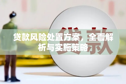 六安贷款风险处置方案，全面解析与实施策略