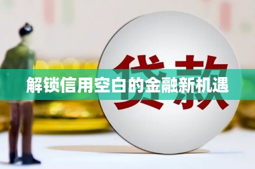六安解锁信用空白的金融新机遇