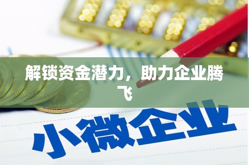 六安解锁资金潜力，助力企业腾飞