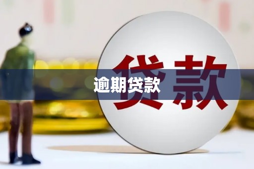 六安逾期贷款