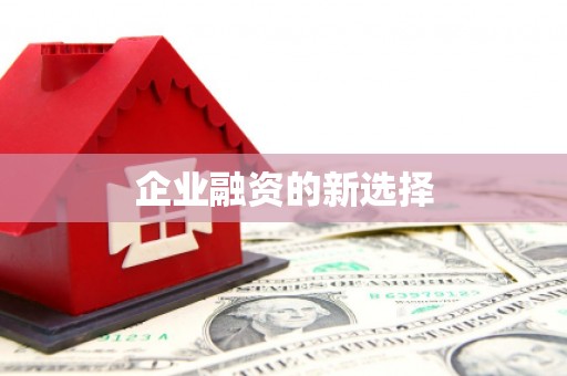 六安企业融资的新选择
