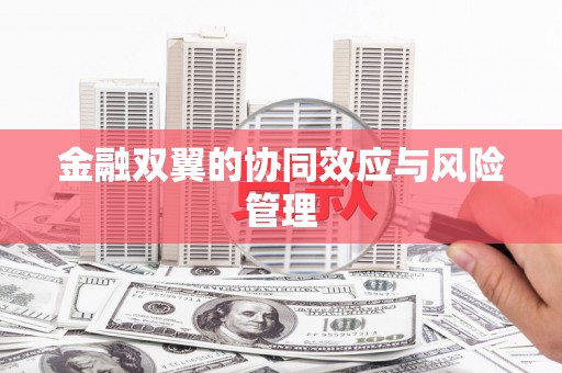 六安金融双翼的协同效应与风险管理