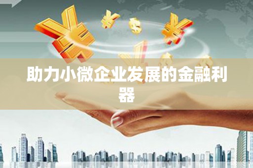 六安助力小微企业发展的金融利器